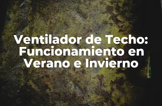 Ventilador de Techo: Funcionamiento en Verano e Invierno