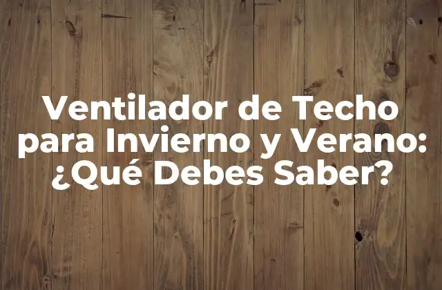 Ventilador de Techo para Invierno y Verano: ¿qué Debes Saber?