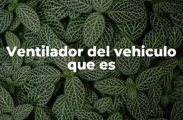 Ventilador Del Vehiculo que es
