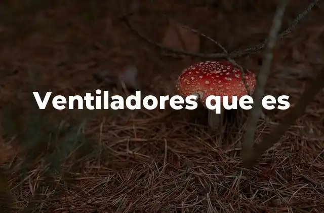 Ventiladores que es 2 Cómo los ventiladores ayudan a mejorar el confort térmico