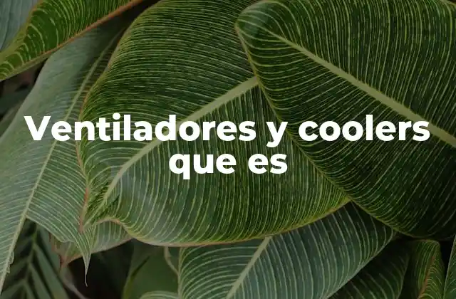 Ventiladores y Coolers que es