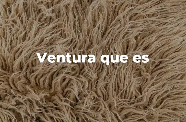 Ventura que es