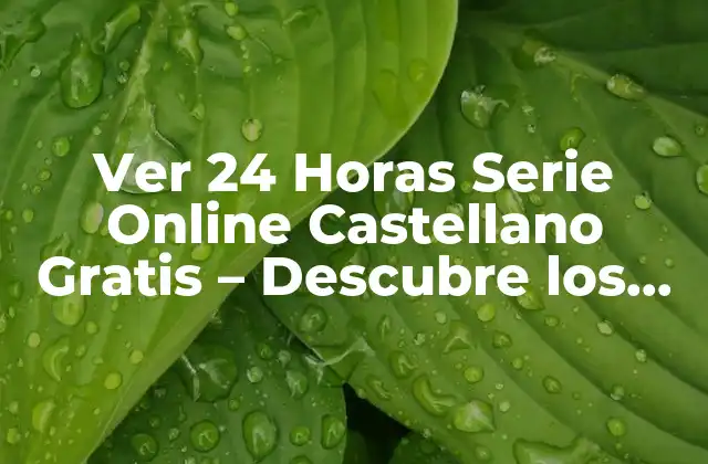 Ver 24 Horas Serie Online Castellano Gratis – Descubre los Mejores Sitios Web