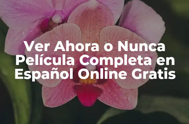 Ver Ahora o Nunca Película Completa en Español Online Gratis