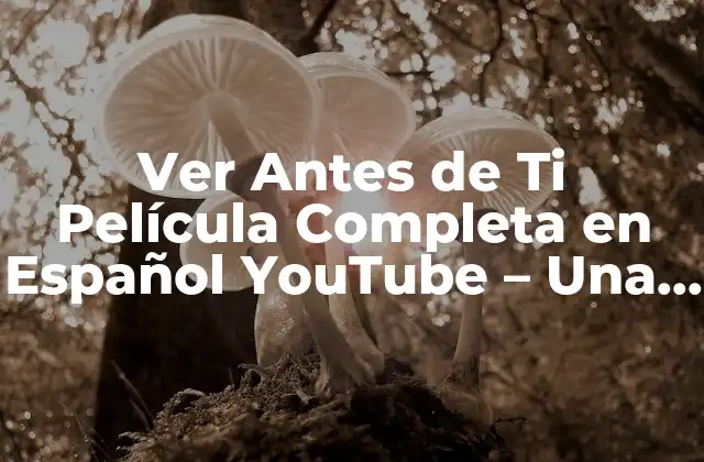 Ver Antes de Ti Película Completa en Español Youtube – una Guía Definitiva