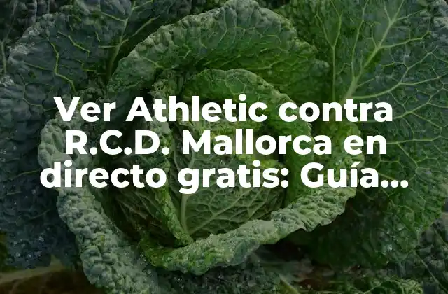 Ver Athletic contra R.c.d. Mallorca en Directo Gratis: Guía Completa para Disfrutar Del Partido
