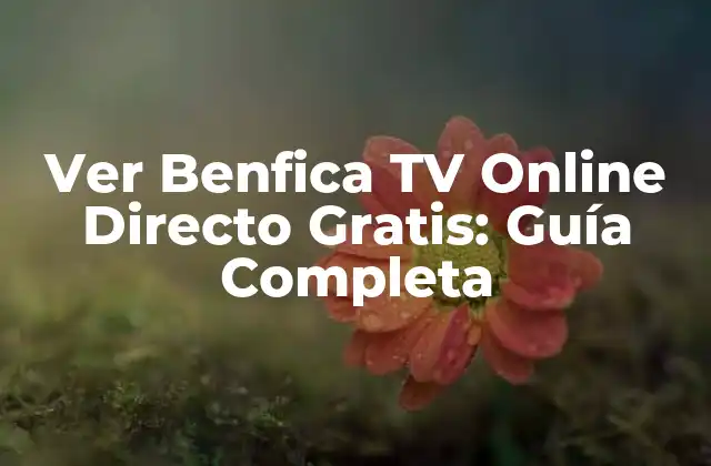 Ver Benfica Tv Online Directo Gratis: Guía Completa