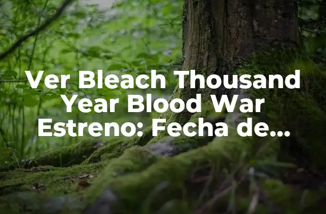 Ver Bleach Thousand Year Blood War Estreno: Fecha de Lanzamiento y Detalles