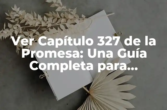 Ver Capítulo 327 de la Promesa: una Guía Completa para Entender el Anime 2 ¿Qué es La Promesa?