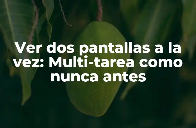 Ver Dos Pantallas a la Vez: Multi-tarea como Nunca Antes 2 ¿Por qué ver dos pantallas a la vez es beneficioso?