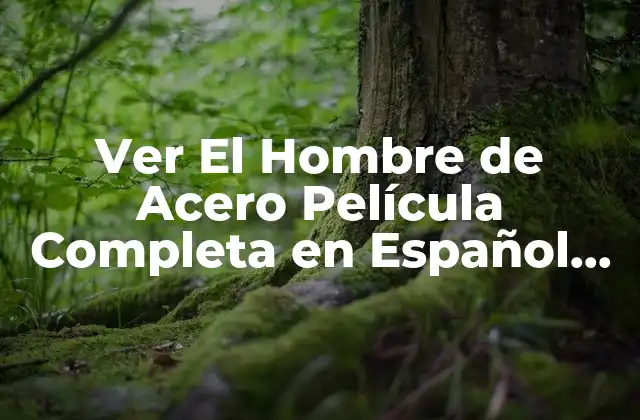 Ver el Hombre de Acero Película Completa en Español Online Gratis