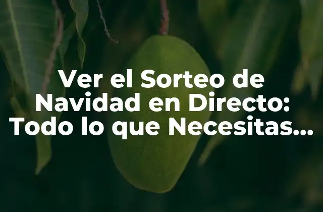 Ver el Sorteo de Navidad en Directo: Todo Lo que Necesitas Saber