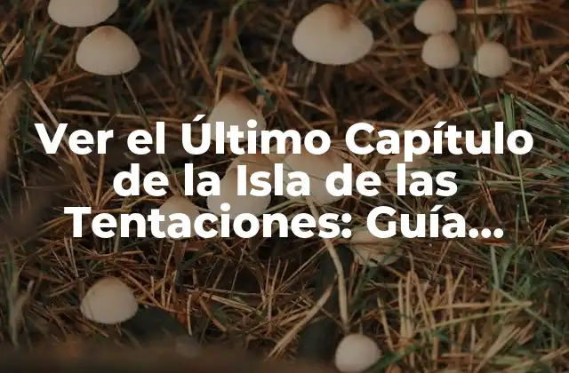 Ver el Último Capítulo de la Isla de las Tentaciones: Guía Completa y Actualizada