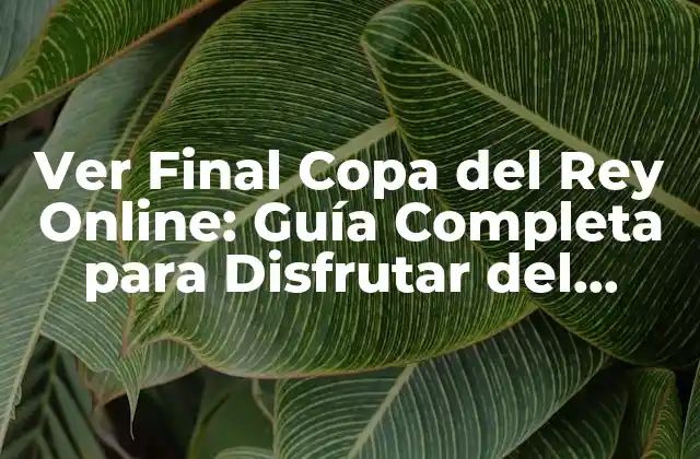 Ver Final Copa Del Rey Online: Guía Completa para Disfrutar Del Fútbol Español