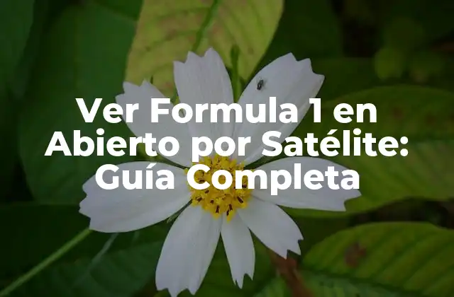 Ver Formula 1 en Abierto por Satélite: Guía Completa