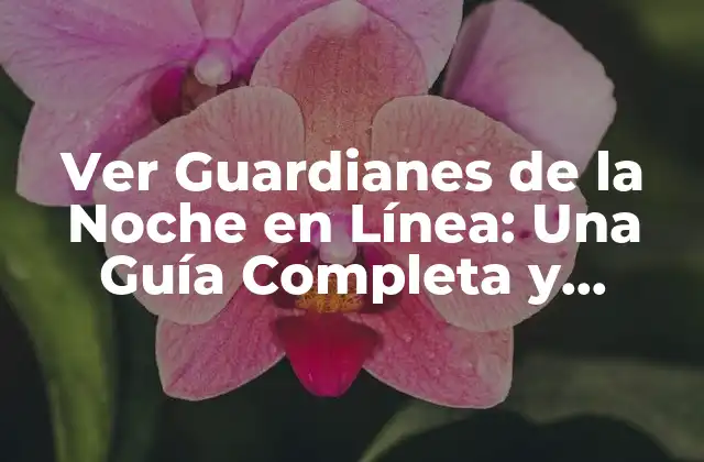 Ver Guardianes de la Noche en Línea: una Guía Completa y Actualizada