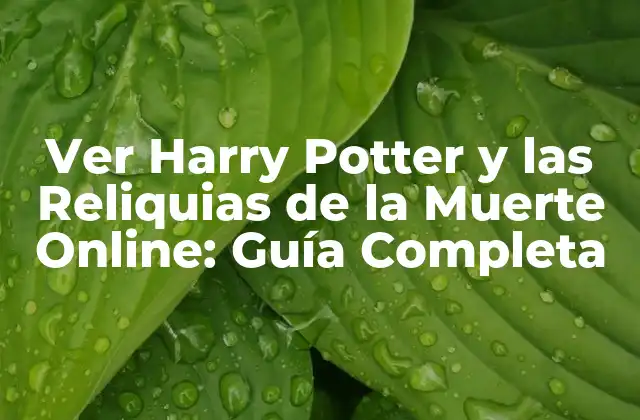 Ver Harry Potter y las Reliquias de la Muerte Online: Guía Completa