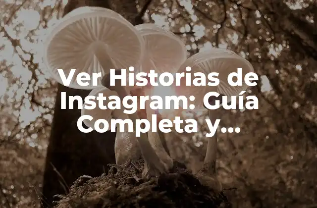 Ver Historias de Instagram: Guía Completa y Actualizada 2 ¿Qué son las Historias de Instagram?