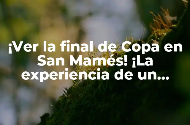 ¡ver la Final de Copa en San Mamés! ¡la Experiencia de un Espectador en el Estadio Más Emblemático Del Fútbol Español!