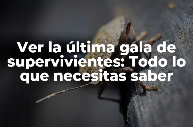 Ver la Última Gala de Supervivientes: Todo Lo que Necesitas Saber