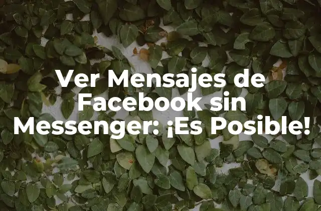 ¿Por qué Quieres Ver Mensajes de Facebook sin Messenger?