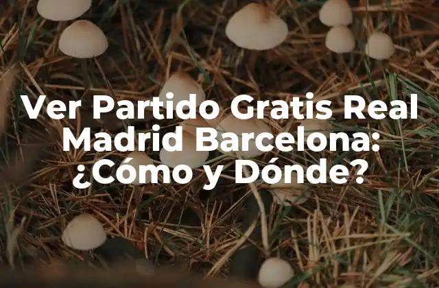 ¿Por qué Ver Partido Gratis Real Madrid Barcelona es tan Popular?