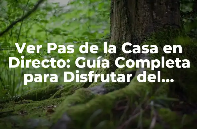 Ver Pas de la Casa en Directo: Guía Completa para Disfrutar Del Esquí en Andorra