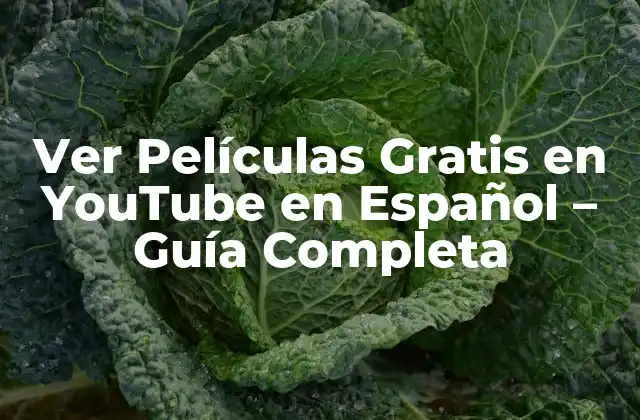 Ver Películas Gratis en Youtube en Español – Guía Completa