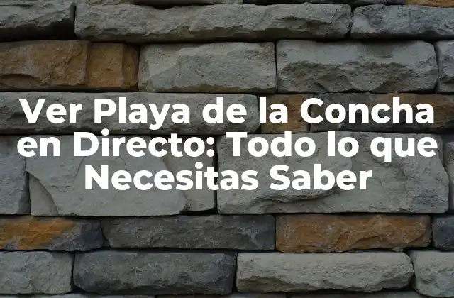 Ver Playa de la Concha en Directo: Todo Lo que Necesitas Saber