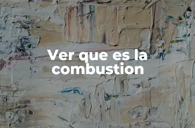 Ver que es la Combustion 2 El proceso de la combustión y sus componentes