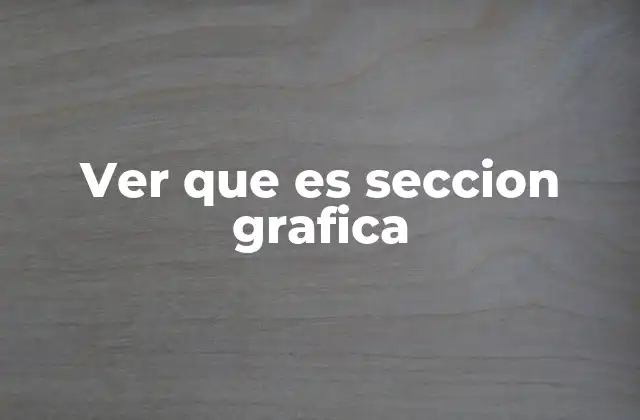 Ver que es Seccion Grafica