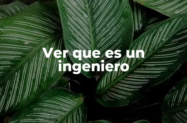 Ver que es un Ingeniero