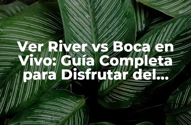 Ver River Vs Boca en Vivo: Guía Completa para Disfrutar Del Clásico Argentino