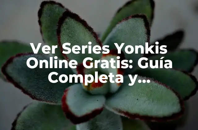 Ver Series Yonkis Online Gratis: Guía Completa y Actualizada