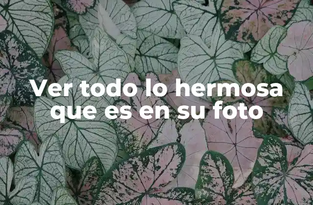 Ver Todo Lo Hermosa que es en Su Foto