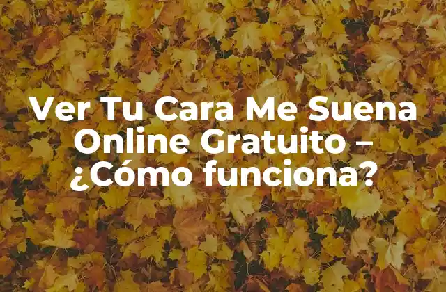 ¿Por qué Ver Tu Cara Me Suena Online es Tan Popular?