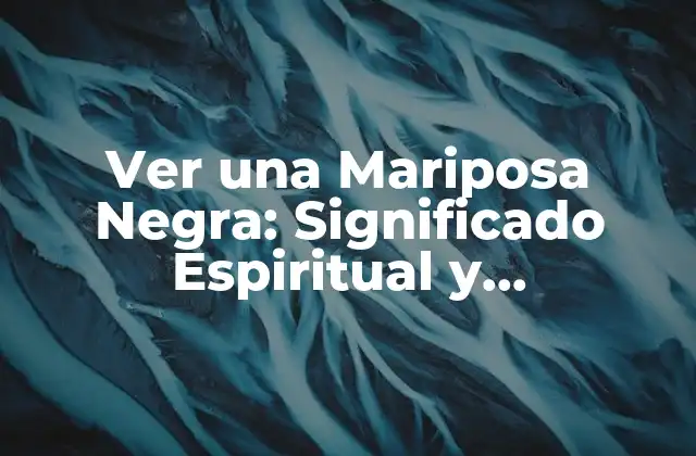 Ver una Mariposa Negra: Significado Espiritual y Superstición