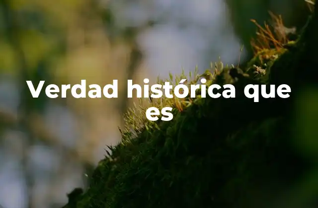 Verdad Histórica que es