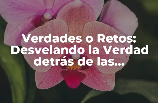 Verdades o Retos: Desvelando la Verdad Detrás de las Preguntas que Nos Hacen Cuestionar