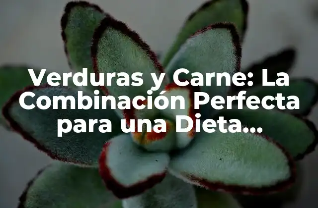 Verduras y Carne: la Combinación Perfecta para una Dieta Saludable