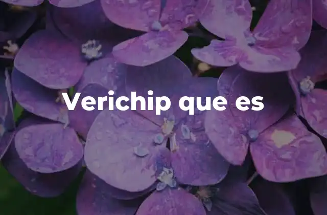 Verichip que es
