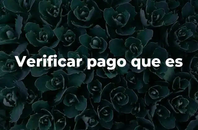 Verificar Pago que es