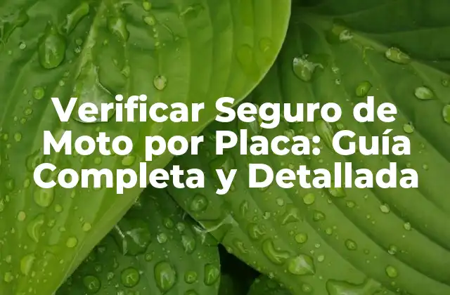 Verificar Seguro de Moto por Placa: Guía Completa y Detallada
