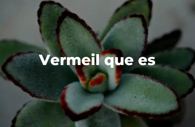 Vermeil que es