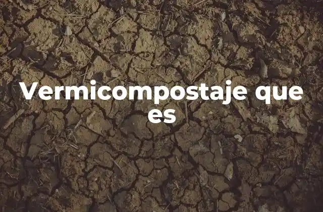 Vermicompostaje que es