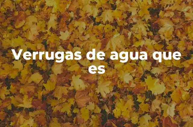 Verrugas de Agua que es