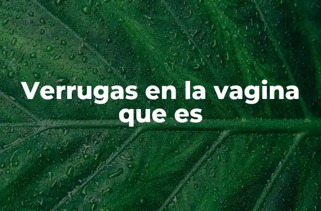 Verrugas en la Vagina que es