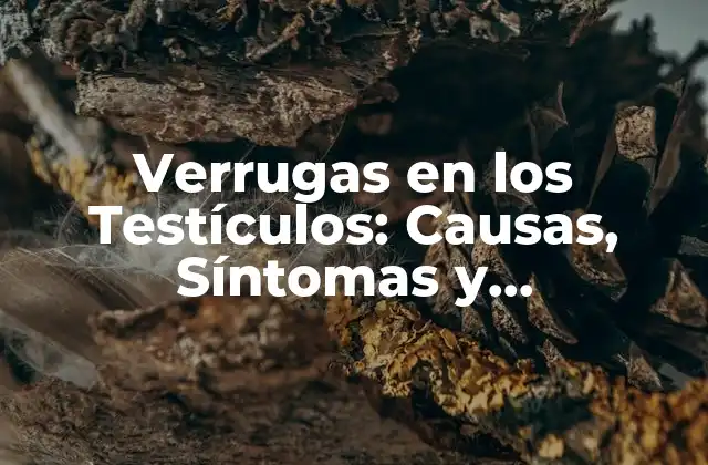 Causas de las Verrugas en los Testículos