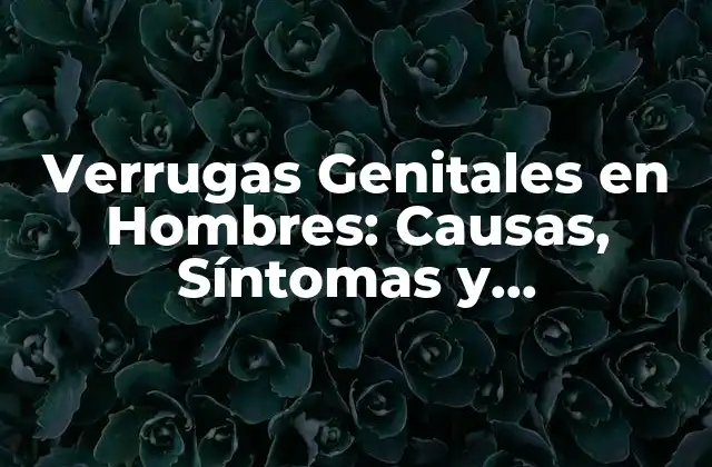 Verrugas Genitales en Hombres: Causas, Síntomas y Tratamiento