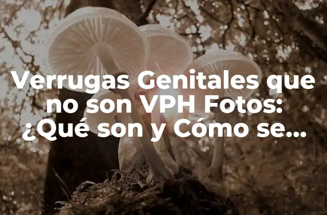 Verrugas Genitales que No Son Vph Fotos: ¿qué Son y Cómo Se Tratan?